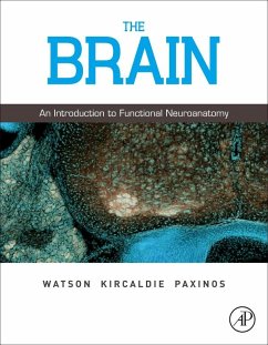 The Brain (eBook, ePUB) - Watson, Charles; Kirkcaldie, Matthew; Paxinos, George