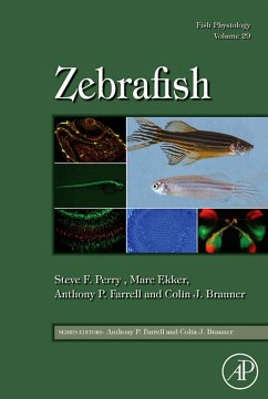 Fish Physiology: Zebrafish (eBook, PDF)
