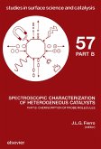 Chemisorption of Probe Molecules (eBook, PDF)