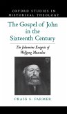 The Gospel of John in the Sixteenth Century (eBook, PDF)