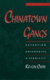 Chinatown Gangs (eBook, PDF)