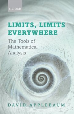Limits, Limits Everywhere (eBook, ePUB) - Applebaum, David