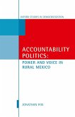 Accountability Politics (eBook, ePUB)