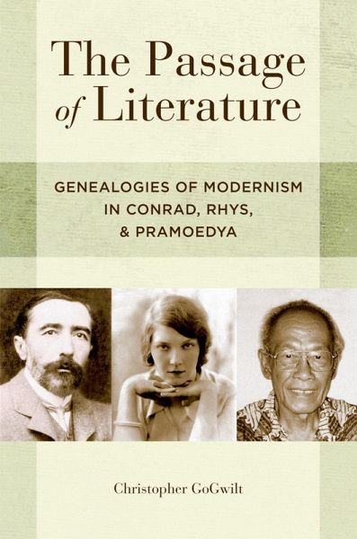 The Passage of Literature (eBook, PDF) The Passage of Literature (eBook, PDF)