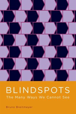 Blindspots (eBook, PDF) - Breitmeyer, Bruno