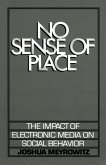 No Sense of Place (eBook, PDF)