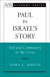 Paul in Israel's Story (eBook, PDF) - Bild 1