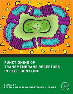Functioning of Transmembrane Receptors in Signaling Mechanisms (eBook, PDF)