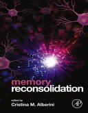 Memory Reconsolidation (eBook, ePUB)