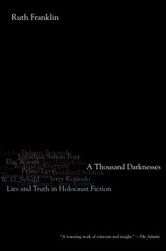 Cover A Thousand Darknesses (eBook, PDF)