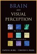 Brain and Visual Perception (eBook, PDF) - Bild 1