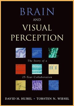 Cover Brain and Visual Perception (eBook, PDF)