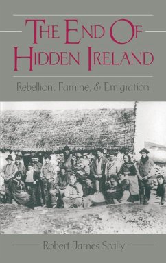 The End of Hidden Ireland (eBook, PDF) - Scally, Robert