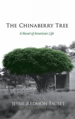 The Chinaberry Tree - Fauset, Jessie Redmon