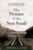 The Promise of the New South (eBook, ePUB)