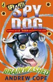 Spy Dog: Brainwashed (eBook, ePUB)