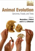 Animal Evolution (eBook, PDF)