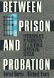 Between Prison and Probation (eBook,... - Bild 1