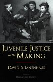 Juvenile Justice in the Making (eBook, PDF)