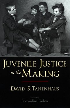 Juvenile Justice in the Making (eBook, PDF) - Tanenhaus, David S.