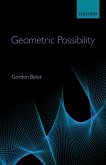 Geometric Possibility (eBook, PDF)