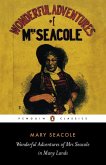 Wonderful Adventures of Mrs Seacole in Many Lands (eBook, ePUB)