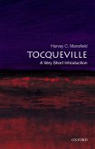 Tocqueville (eBook, ePUB)