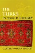 The Turks in World History (eBook, ePUB) - Bild 1