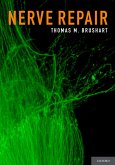 Nerve Repair (eBook, PDF)