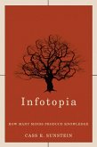 Infotopia (eBook, ePUB)