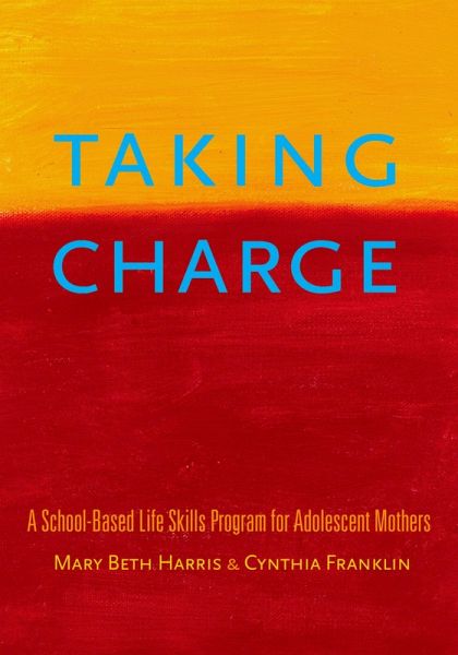 Taking Charge (eBook, PDF)