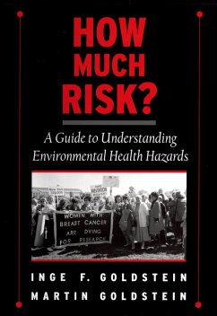Cover How Much Risk? (eBook, PDF)