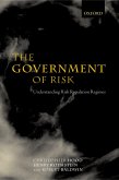 The Government of Risk (eBook, PDF)