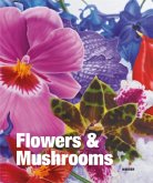 Flowers & Mushrooms