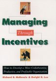 Managing through Incentives (eBook, PDF)