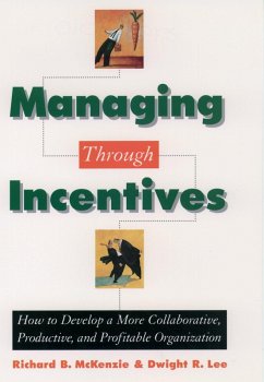 Cover Managing through Incentives (eBook, PDF)