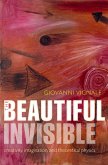 The Beautiful Invisible (eBook, ePUB)