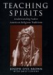 Teaching Spirits (eBook, PDF) - Bild 1