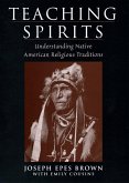 Teaching Spirits (eBook, PDF)