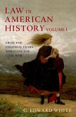 Law in American History (eBook, PDF)