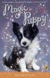 Magic Puppy: Muddy Paws (eBook, ePUB) - Bild 1