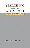 Searching for the Light (eBook, PDF)