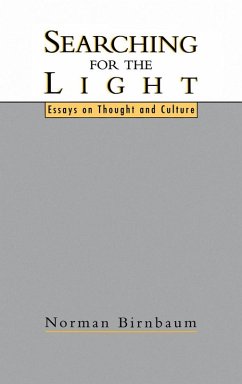 Cover Searching for the Light (eBook, PDF)
