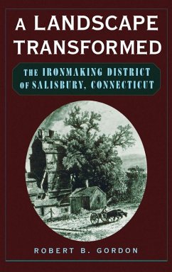 Cover A Landscape Transformed (eBook, PDF)