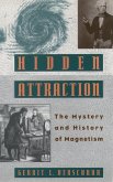 Hidden Attraction (eBook, PDF)