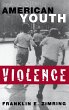 American Youth Violence (eBook, PDF) - Bild 1