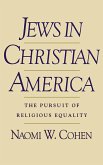 Jews in Christian America (eBook, PDF)