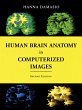 Human Brain Anatomy in Computerized... - Bild 1