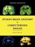 Human Brain Anatomy in Computerized Images (eBook, PDF)