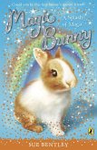 Magic Bunny: A Splash of Magic (eBook, ePUB)